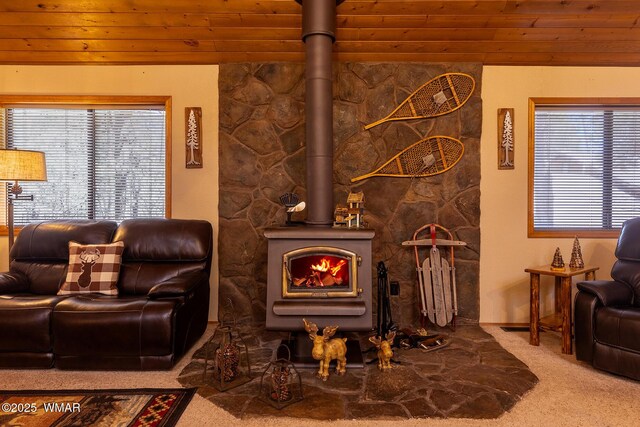 4816 Black Panther Loop, Pinetop, AZ 85935 - photo 11