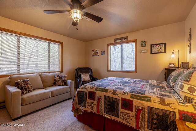 4816 Black Panther Loop, Pinetop, AZ 85935 - photo 27