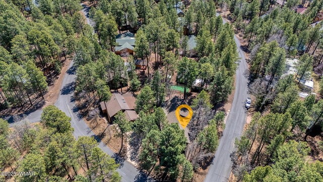 4816 Black Panther Loop, Pinetop, AZ 85935 - photo 2