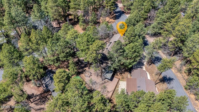 4816 Black Panther Loop, Pinetop, AZ 85935 - photo 38