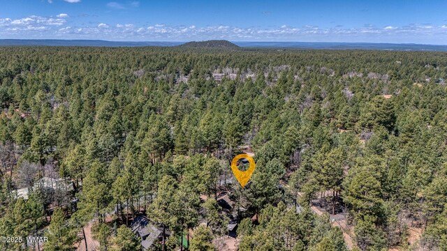 4816 Black Panther Loop, Pinetop, AZ 85935 - photo 39