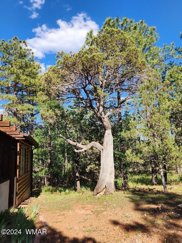 6779 White Pine Dr, Lakeside, AZ 85929 - photo 4