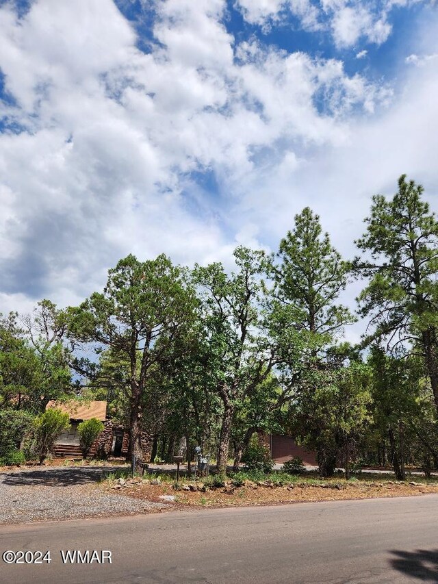 6779 White Pine Dr, Lakeside, AZ 85929 - photo 7