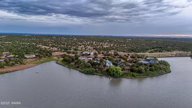2045 Silver Creek Dr, Show Low, AZ 85901 - bird's eye view of a large body of water