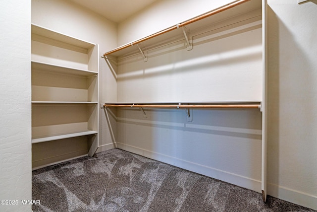 840 E Blue Jay Ln, Show Low, AZ 85901 - walk in closet with carpet floors