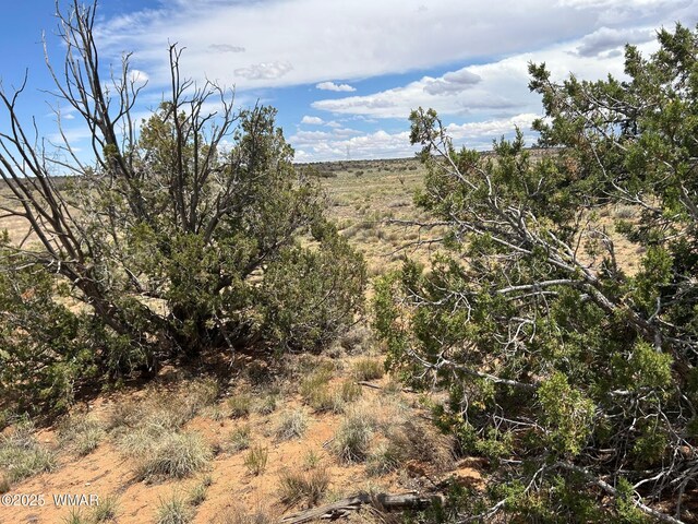 LOT595 Graham Rd, Heber, AZ 85928 - photo 11