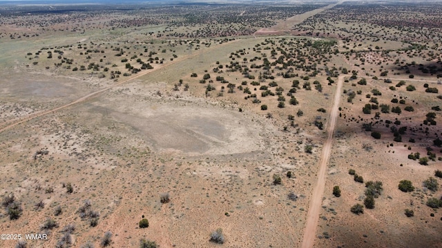 LOT595 Graham Rd, Heber, AZ 85928 - photo 6