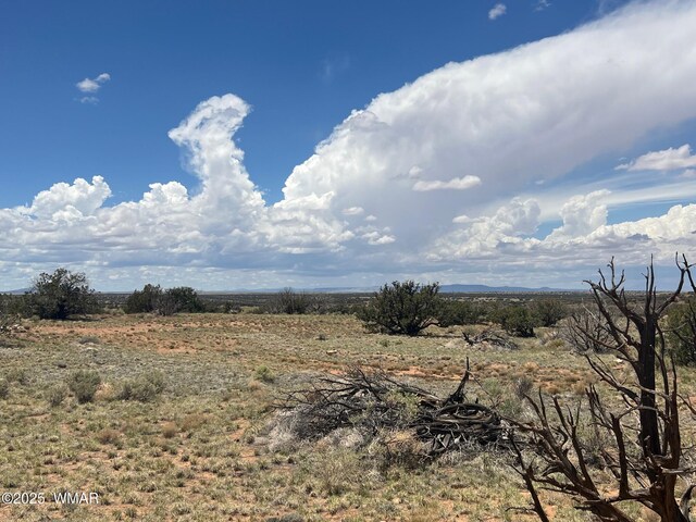 LOT595 Graham Rd, Heber, AZ 85928 - photo 13