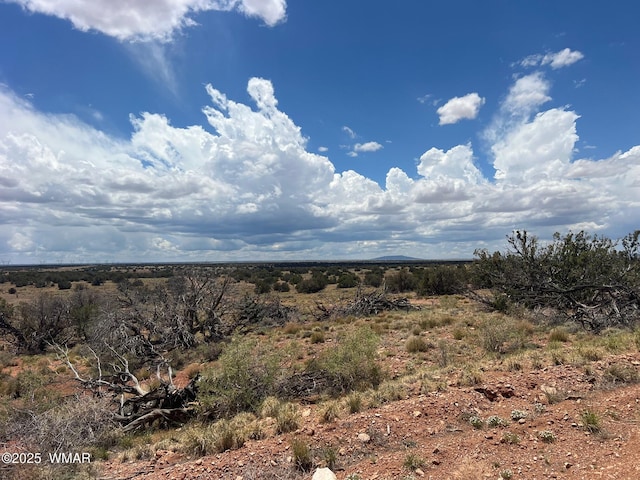 LOT595 Graham Rd, Heber, AZ 85928 - photo 20