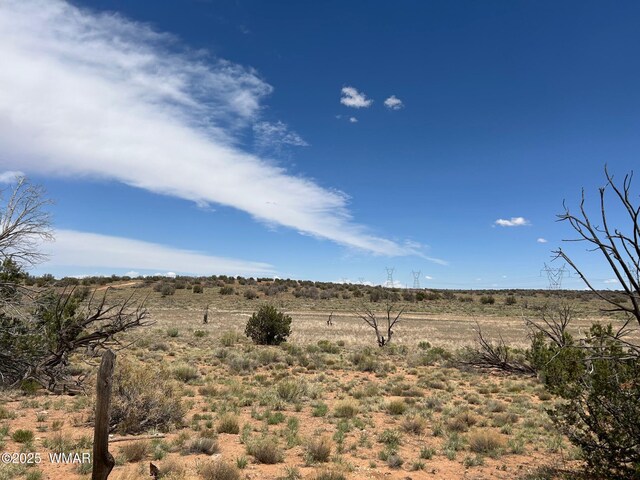 LOT595 Graham Rd, Heber, AZ 85928 - photo 10