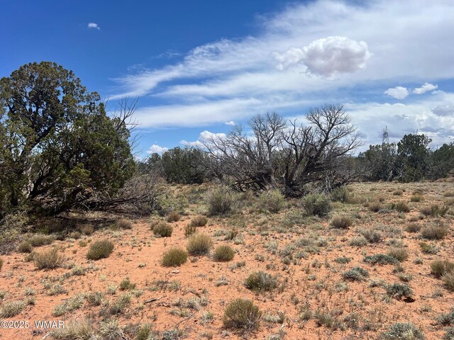 LOT595 Graham Rd, Heber, AZ 85928 - photo 15