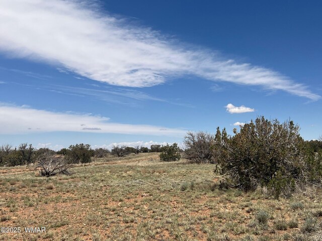 LOT595 Graham Rd, Heber, AZ 85928 - photo 14