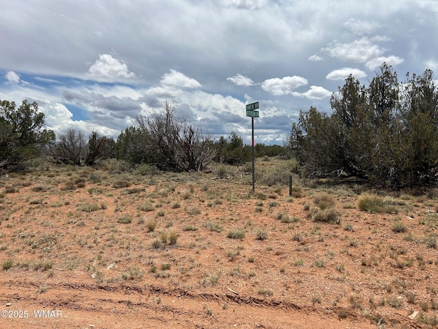 LOT595 Graham Rd, Heber, AZ 85928 - photo 2