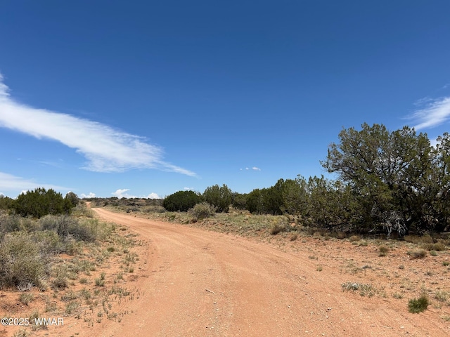 LOT595 Graham Rd, Heber, AZ 85928 - photo 3