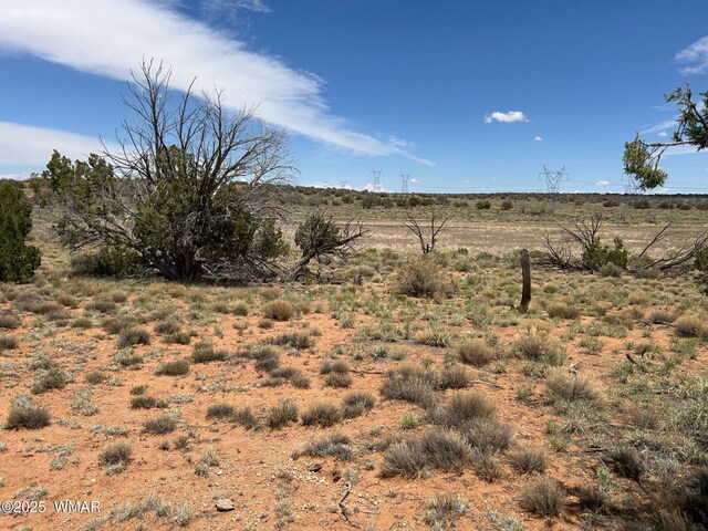 LOT595 Graham Rd, Heber, AZ 85928 - photo 9