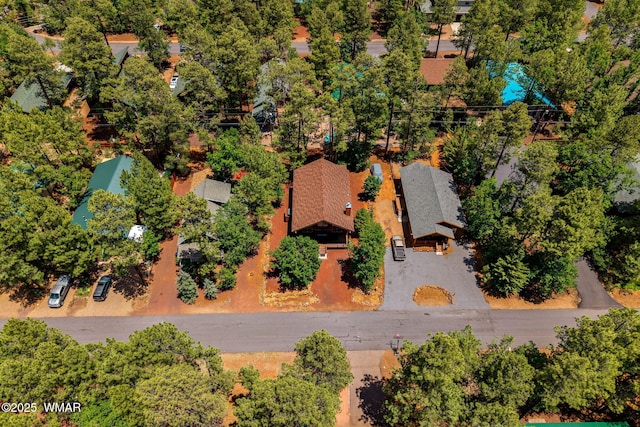 3721 W Bermuda Cir, Pinetop, AZ 85935 - photo 38