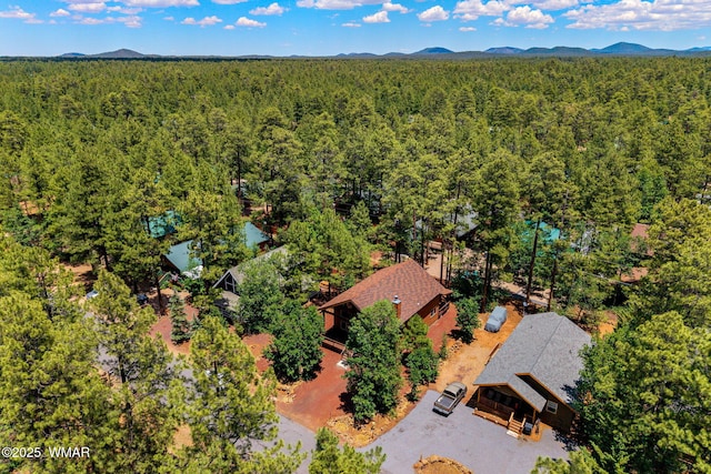 3721 W Bermuda Cir, Pinetop, AZ 85935 - photo 40