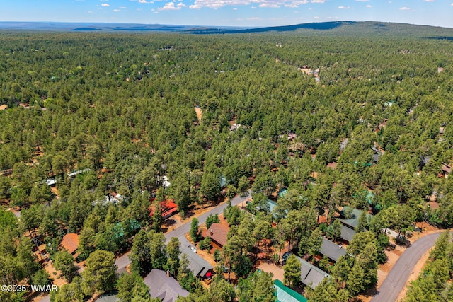 3721 W Bermuda Cir, Pinetop, AZ 85935 - photo 41