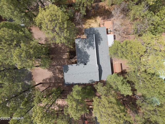 3272 Deep Forest Dr, Pinetop, AZ 85935 - photo 35