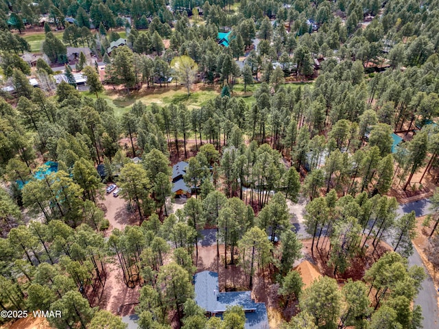 3272 Deep Forest Dr, Pinetop, AZ 85935 - photo 36