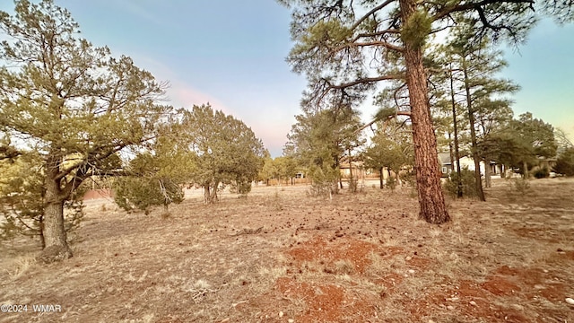 Listing photo 3 for 600 Reynolds Ln, Show Low AZ 85901