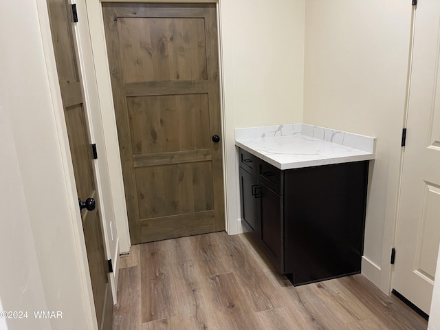 bathroom featuring wood finished floors and vanity