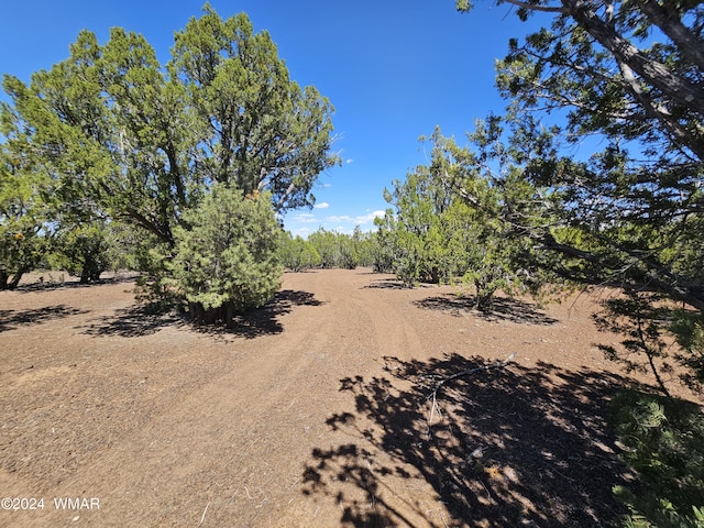 Listing photo 3 for 1259 Kb Ranch Rd, Show Low AZ 85901