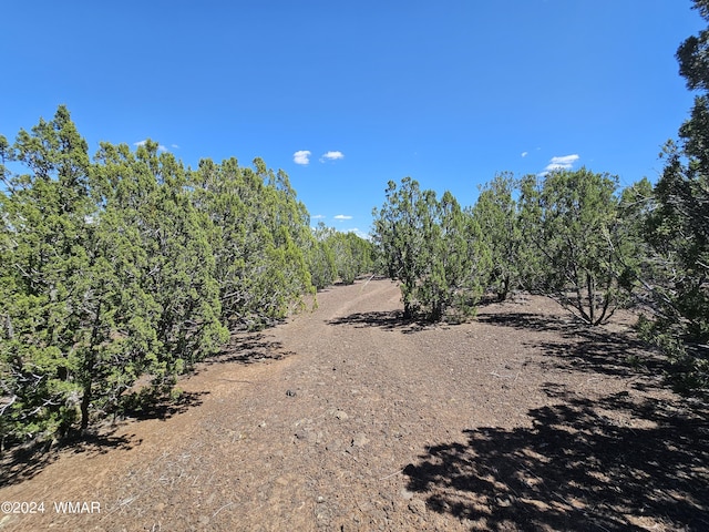 1259 Kb Ranch Rd, Show Low AZ, 85901 land for sale