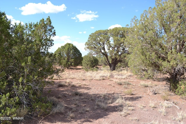 4161 Colt Rd, Snowflake, AZ 85937