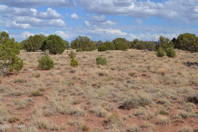 4161 Colt Rd, Snowflake, AZ 85937