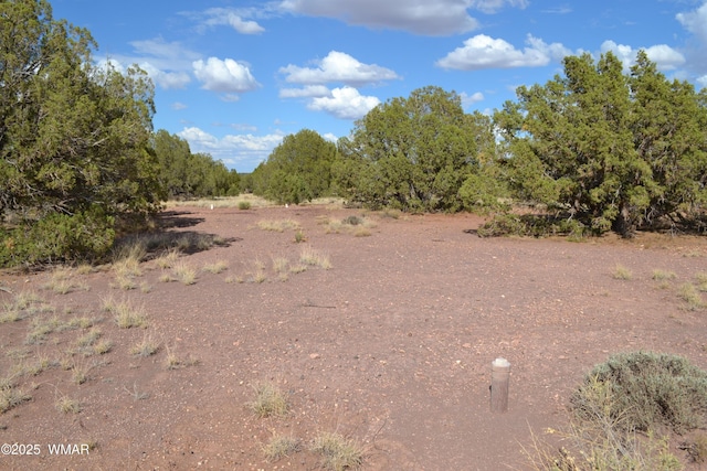 4161 Colt Rd, Snowflake, AZ 85937