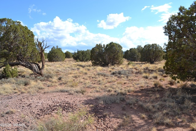 4161 Colt Rd, Snowflake, AZ 85937
