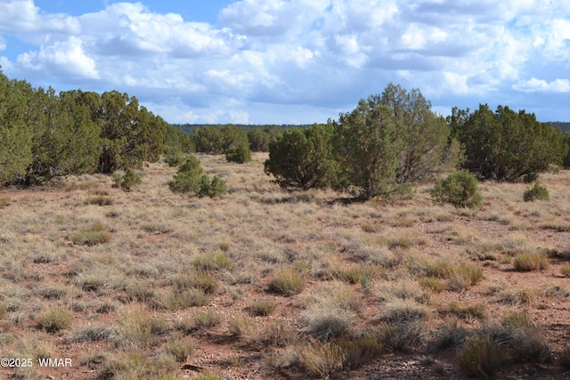 4161 Colt Rd, Snowflake, AZ 85937