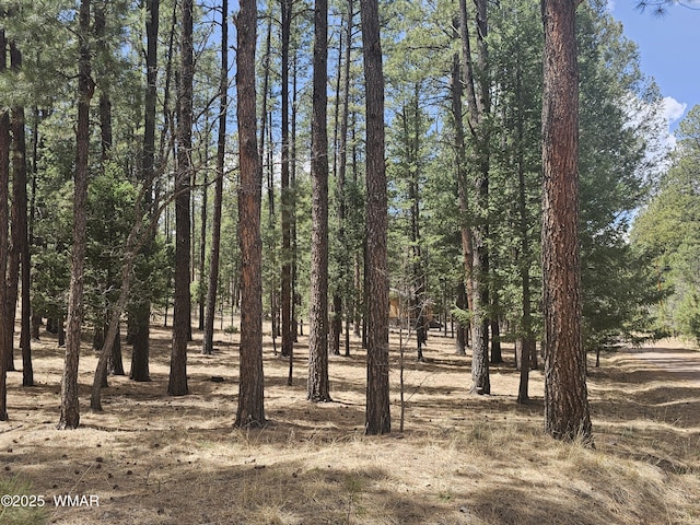 view of nature