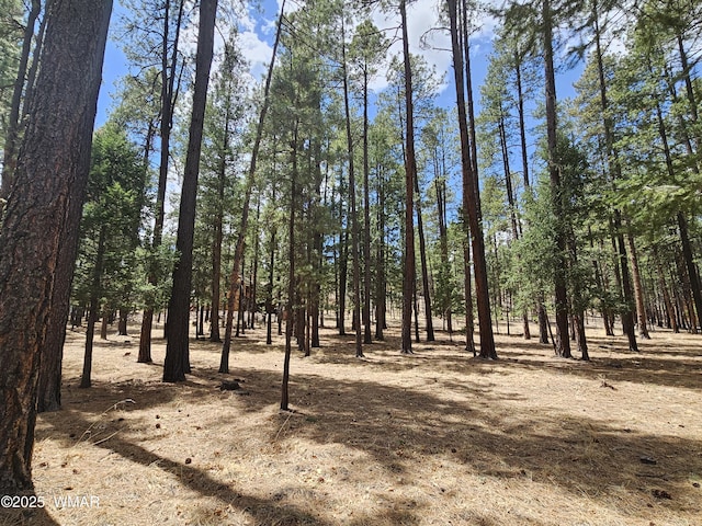 view of nature