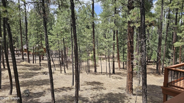 view of local wilderness