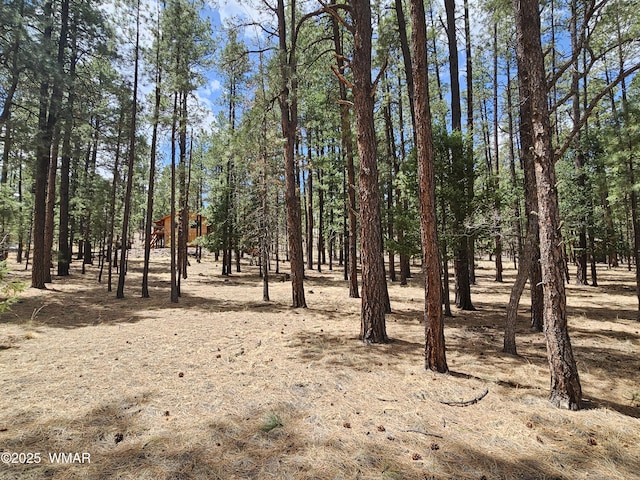 view of local wilderness