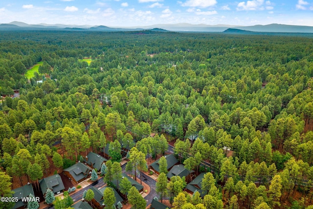 3927 Elk Hollow Dr, Pinetop, AZ 85935 - photo 29