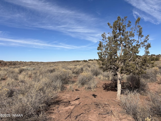 9659 E Juniper Berry Trl, Snowflake AZ, 85937 land for sale