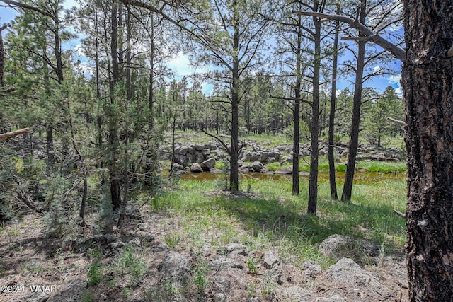 026 Birdsong Way, Lakeside AZ, 85929 land for sale