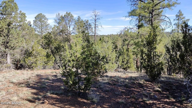 2316 Thunderbird Cir, Overgaard, AZ 85933
