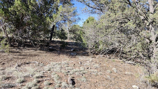 2316 Thunderbird Cir, Overgaard, AZ 85933