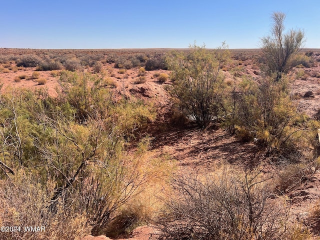 8285 Old Ranch Rd, Woodruff, AZ 85942 - photo 29