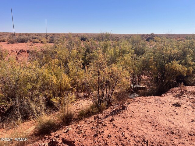 8285 Old Ranch Rd, Woodruff, AZ 85942 - photo 30