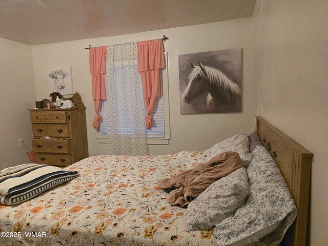141 W 2nd N St, Snowflake, AZ 85937 - photo 13