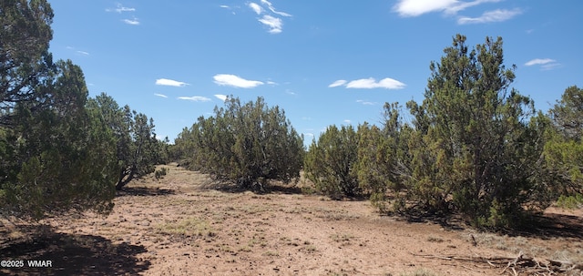 17 County Road 8077, Concho, AZ 85924 - photo 11