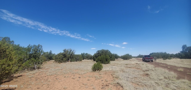 17 County Road 8077, Concho, AZ 85924 - photo 7
