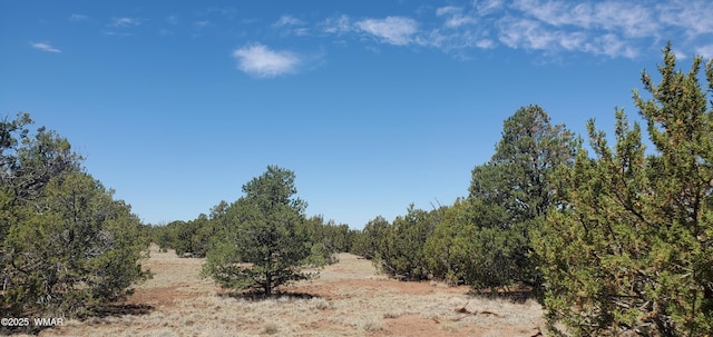17 County Road 8077, Concho, AZ 85924 - photo 1