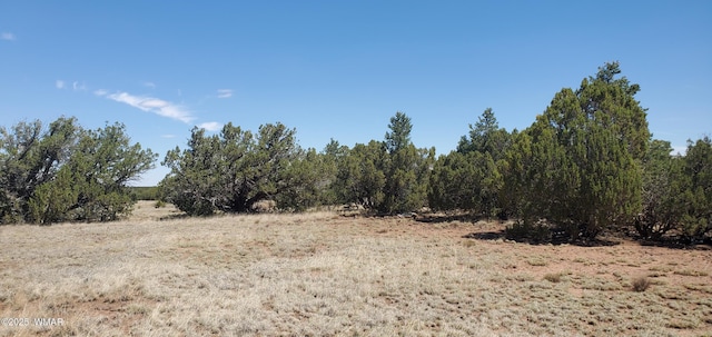 17 County Road 8077, Concho, AZ 85924 - photo 13