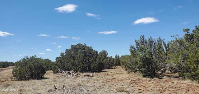 17 County Road 8077, Concho, AZ 85924 - photo 16